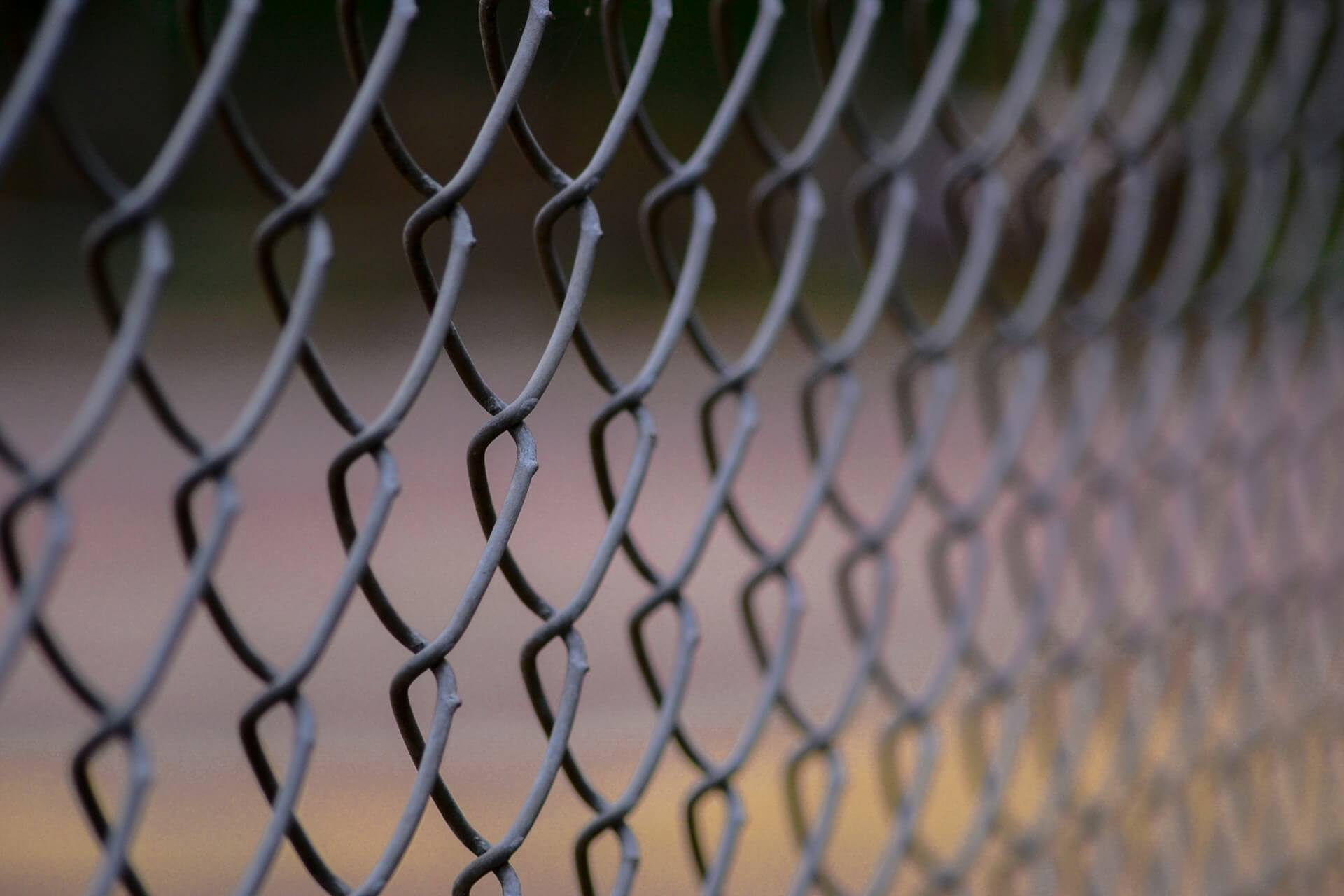 chain link fences