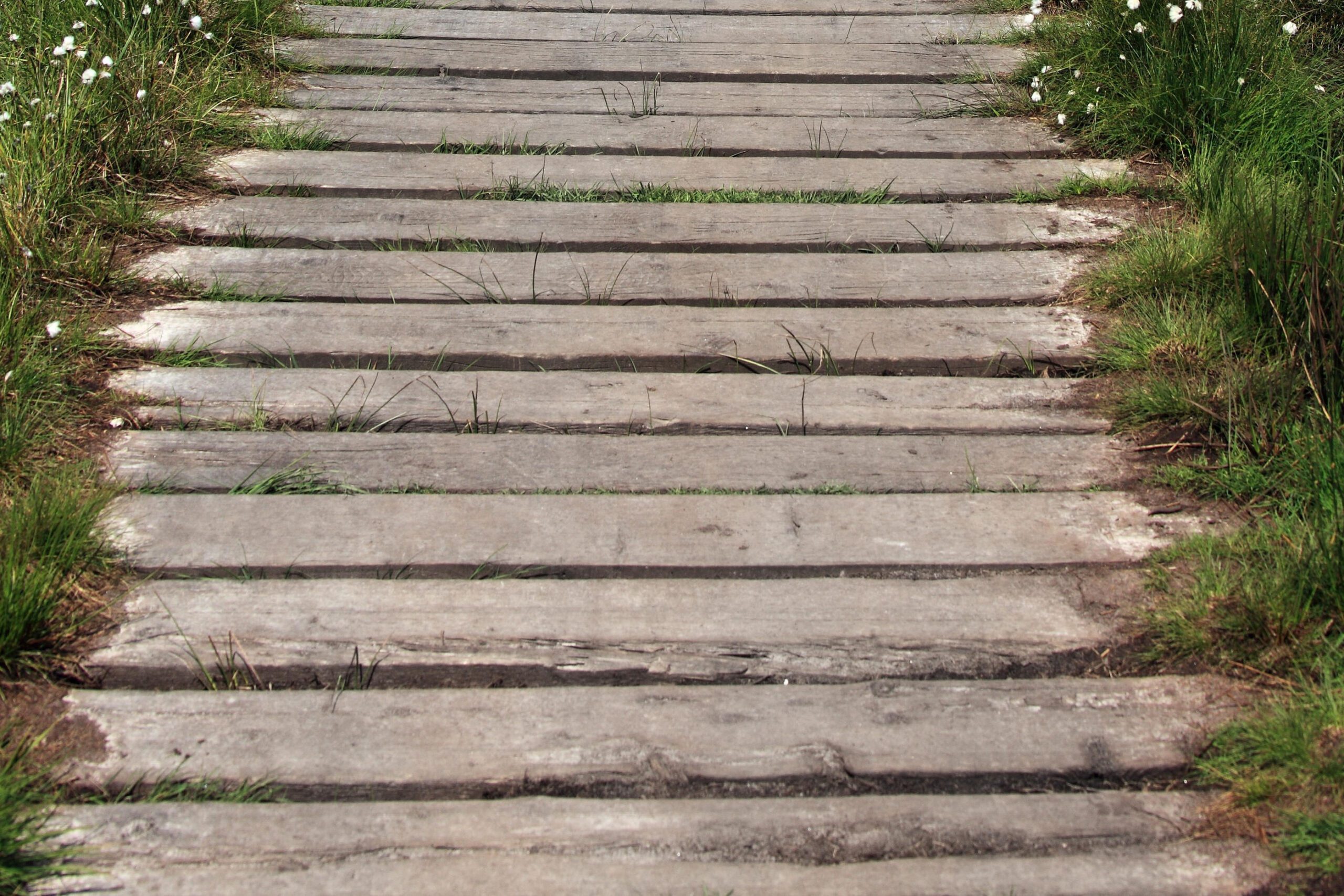 Railway Sleeper Garden Path