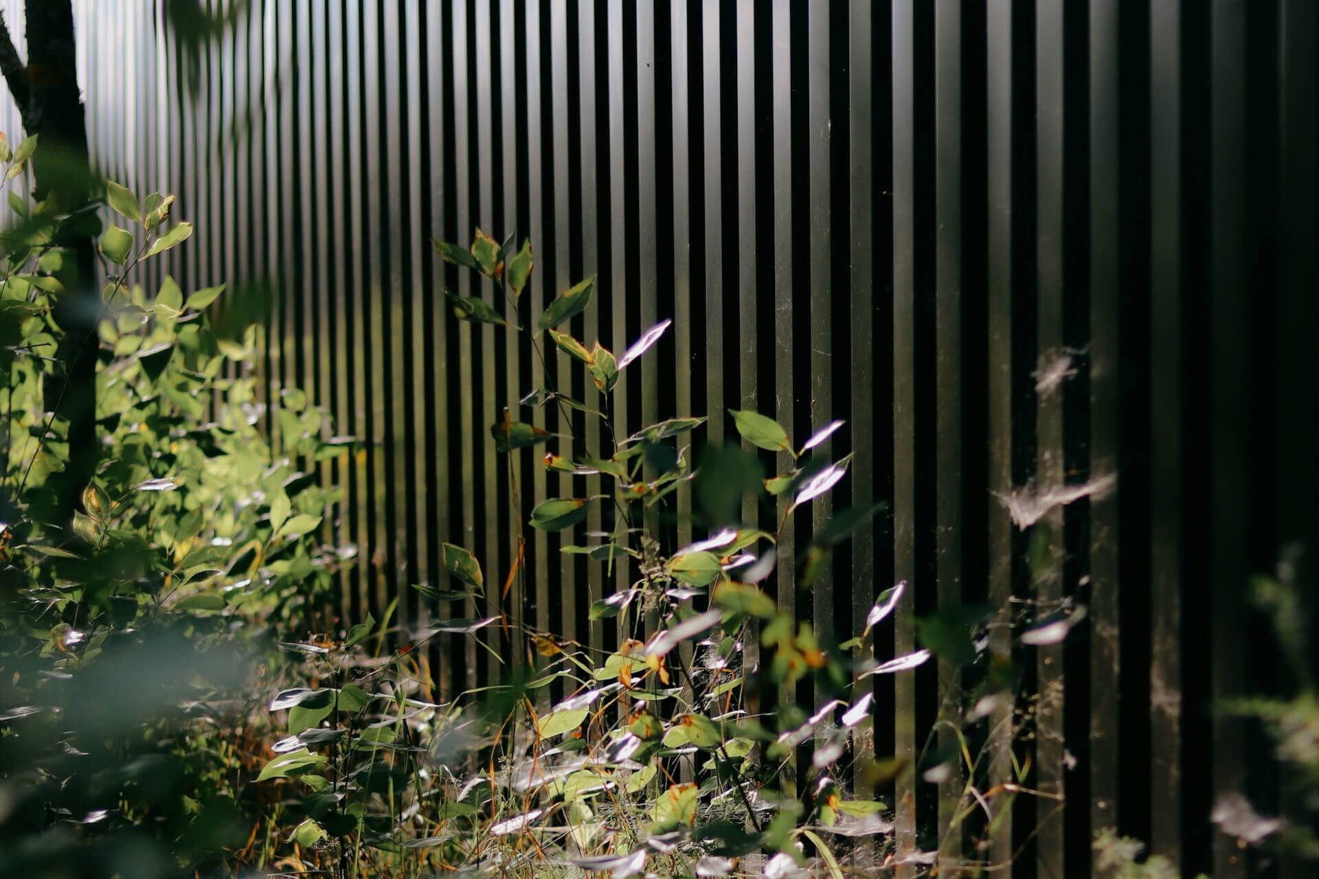 Modern vertical garden fence surrounded by greenery